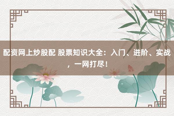配资网上炒股配 股票知识大全：入门、进阶、实战，一网打尽！