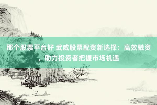 那个股票平台好 武威股票配资新选择：高效融资，助力投资者把握市场机遇