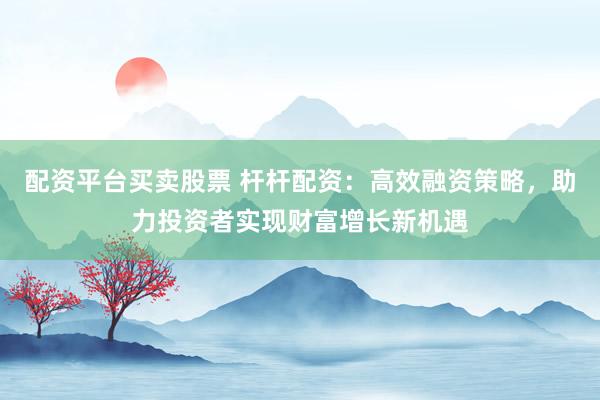 配资平台买卖股票 杆杆配资：高效融资策略，助力投资者实现财富增长新机遇