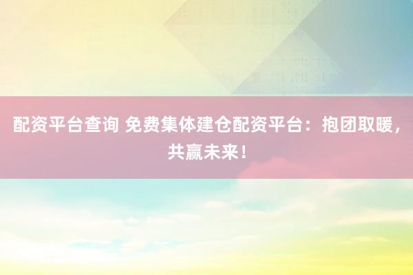 配资平台查询 免费集体建仓配资平台：抱团取暖，共赢未来！
