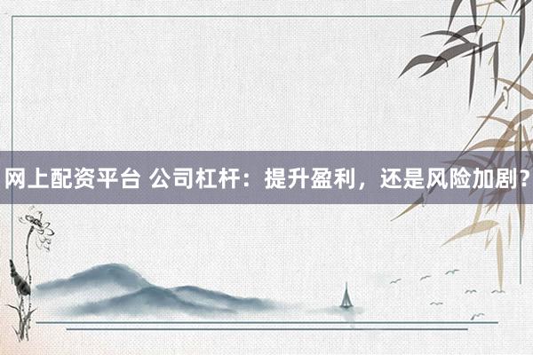网上配资平台 公司杠杆：提升盈利，还是风险加剧？