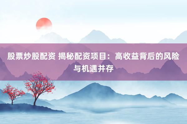 股票炒股配资 揭秘配资项目:高收益背后的风险与机遇并存