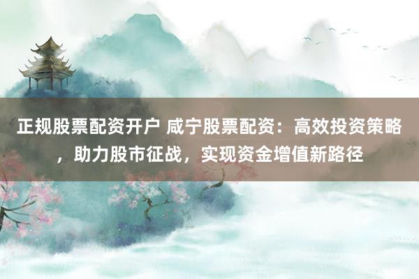 正规股票配资开户 咸宁股票配资:高效投资策略,助力股市征战,实现资金增值新路径