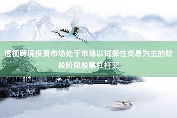透视跨境投资市场处于市场以试探性交易为主的阶段阶段股票杠杆交