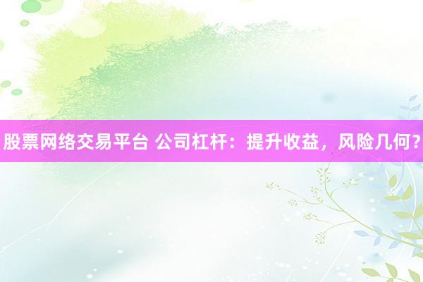 股票网络交易平台 公司杠杆：提升收益，风险几何？