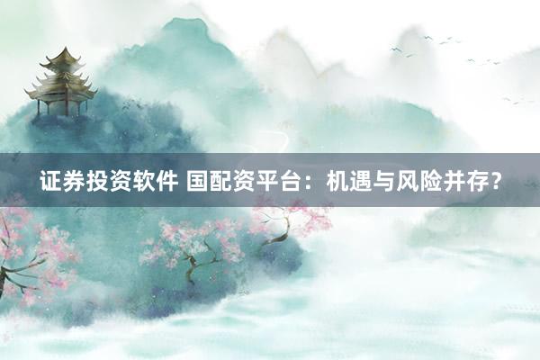 证券投资软件 国配资平台：机遇与风险并存？