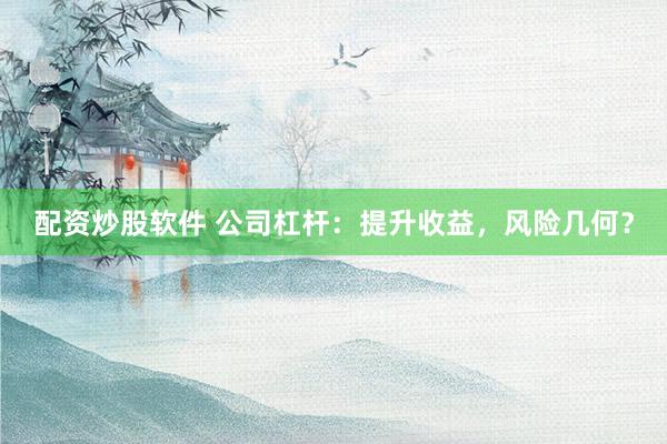 配资炒股软件 公司杠杆：提升收益，风险几何？