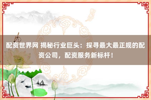配资世界网 揭秘行业巨头：探寻最大最正规的配资公司，配资服务新标杆！